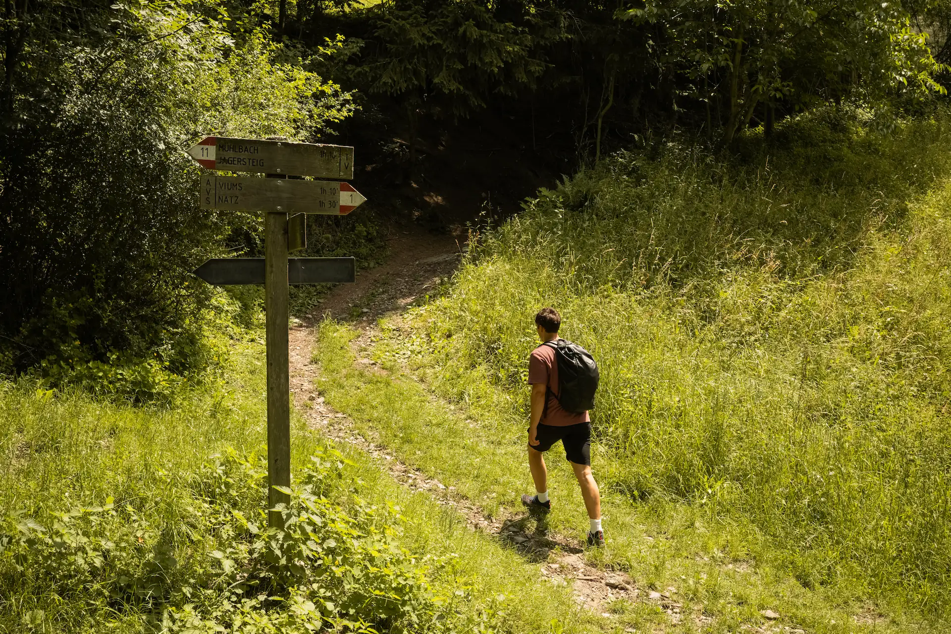Escursioni sull'Alpe di Rodengo in estate