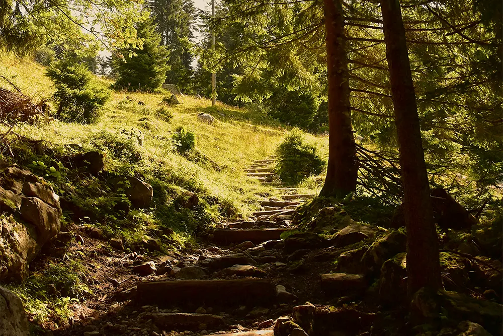 Erlebnisse und Aktivitäten in Rodeneck